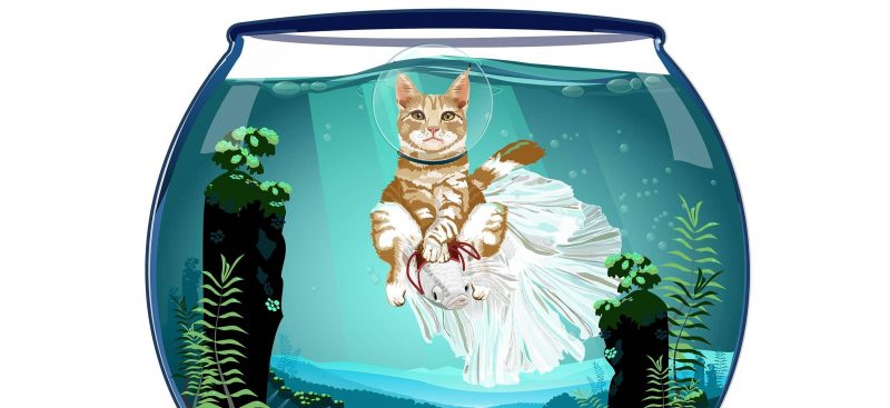 Ilustrasi yang dibuat dengan CorelDRAW Standard