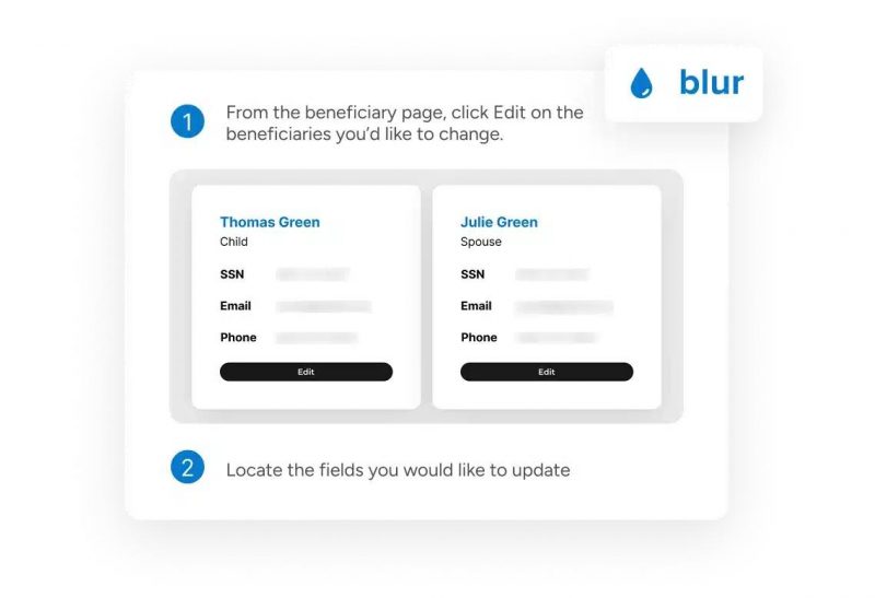 Smart Redact Snagit memburamkan informasi sensitif