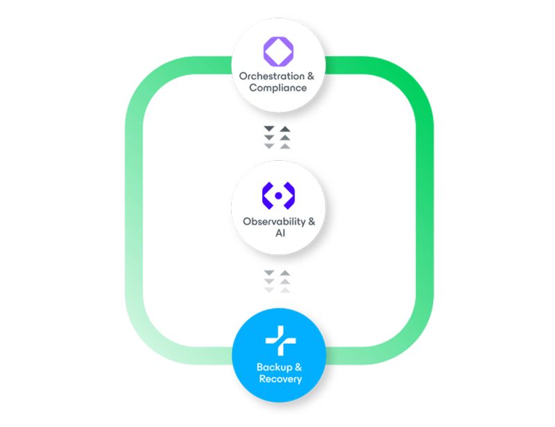 Tingkatan edisi Veeam Data Platform