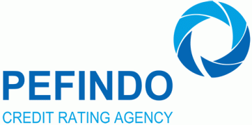 PEFINDO PEFINDO